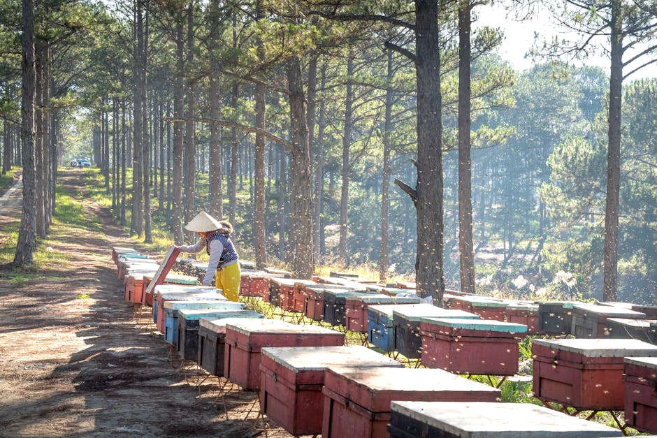 Where to Buy Local Honey in Michigan: Farm Stores and Markets
