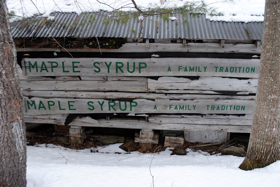 Pure Michigan Maple Syrup: Farm Fresh Syrup Production