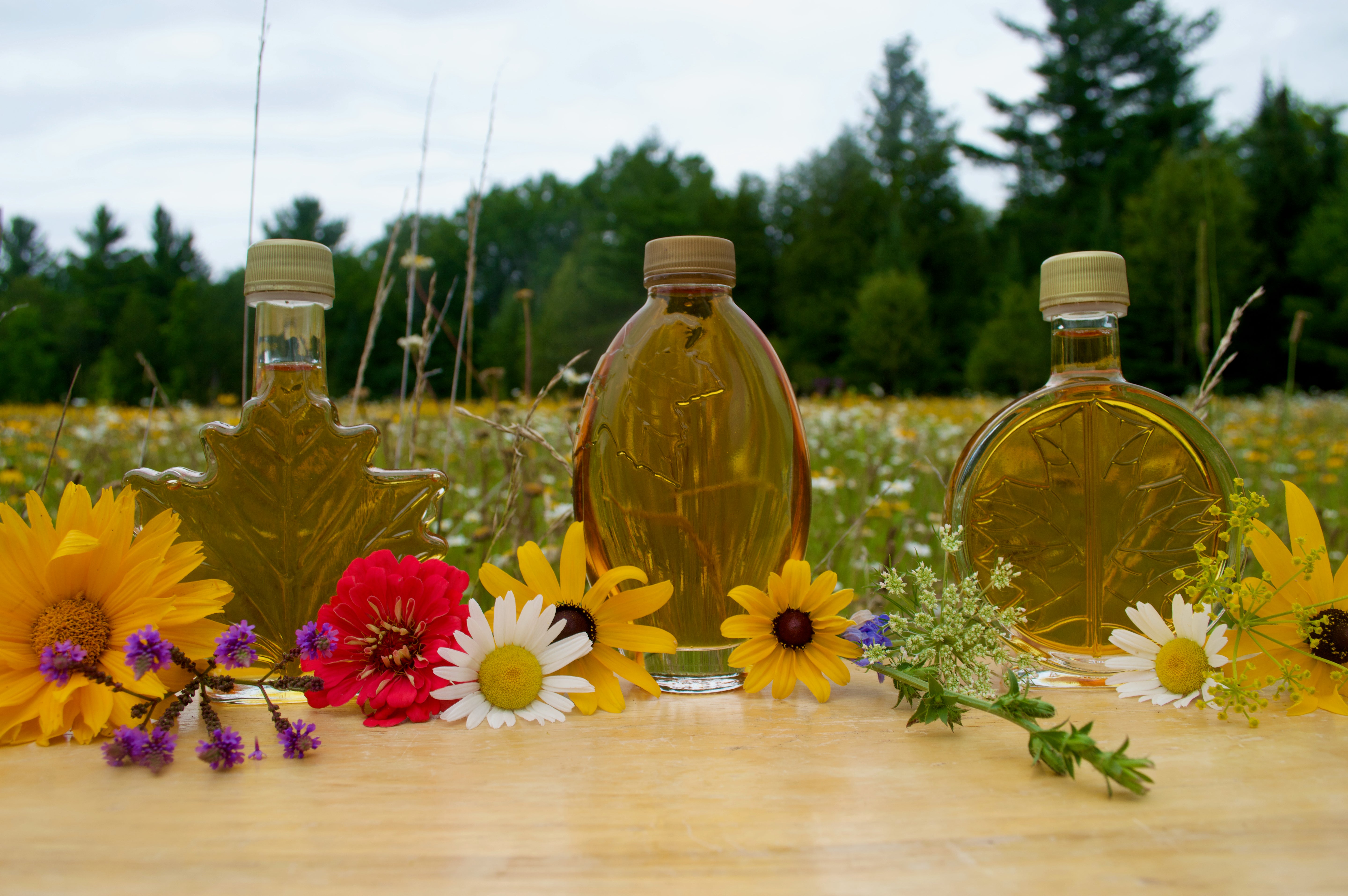 Pure Michigan Maple Syrup (Party Favor Glass Bottles)