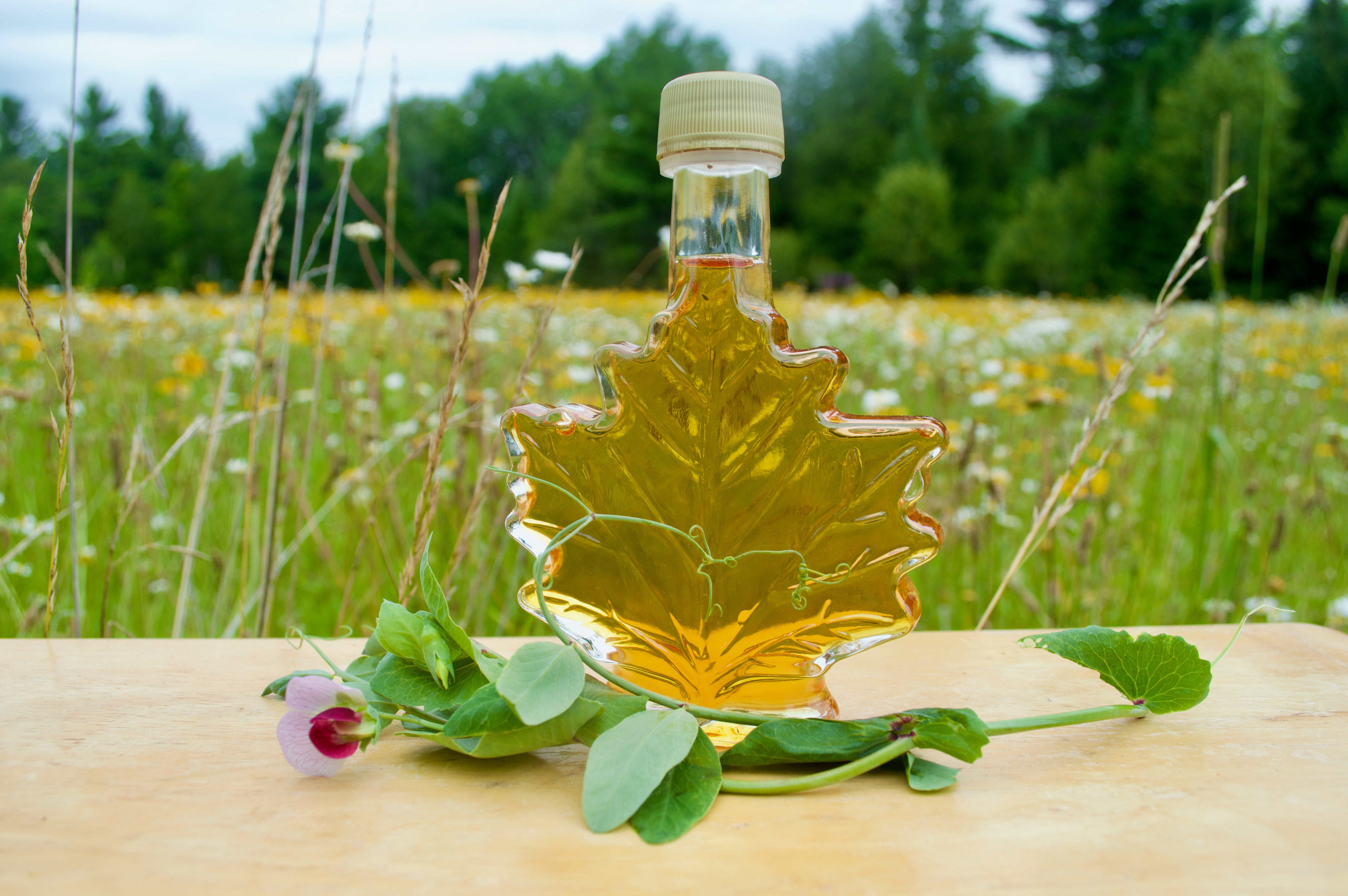 Pure Michigan Maple Syrup (Party Favor Glass Bottles)