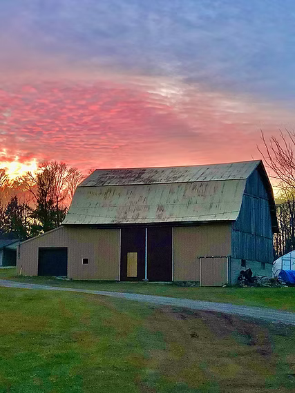Load video: A bird's-eye view of Bonz Beach Farms in Onaway, Michigan