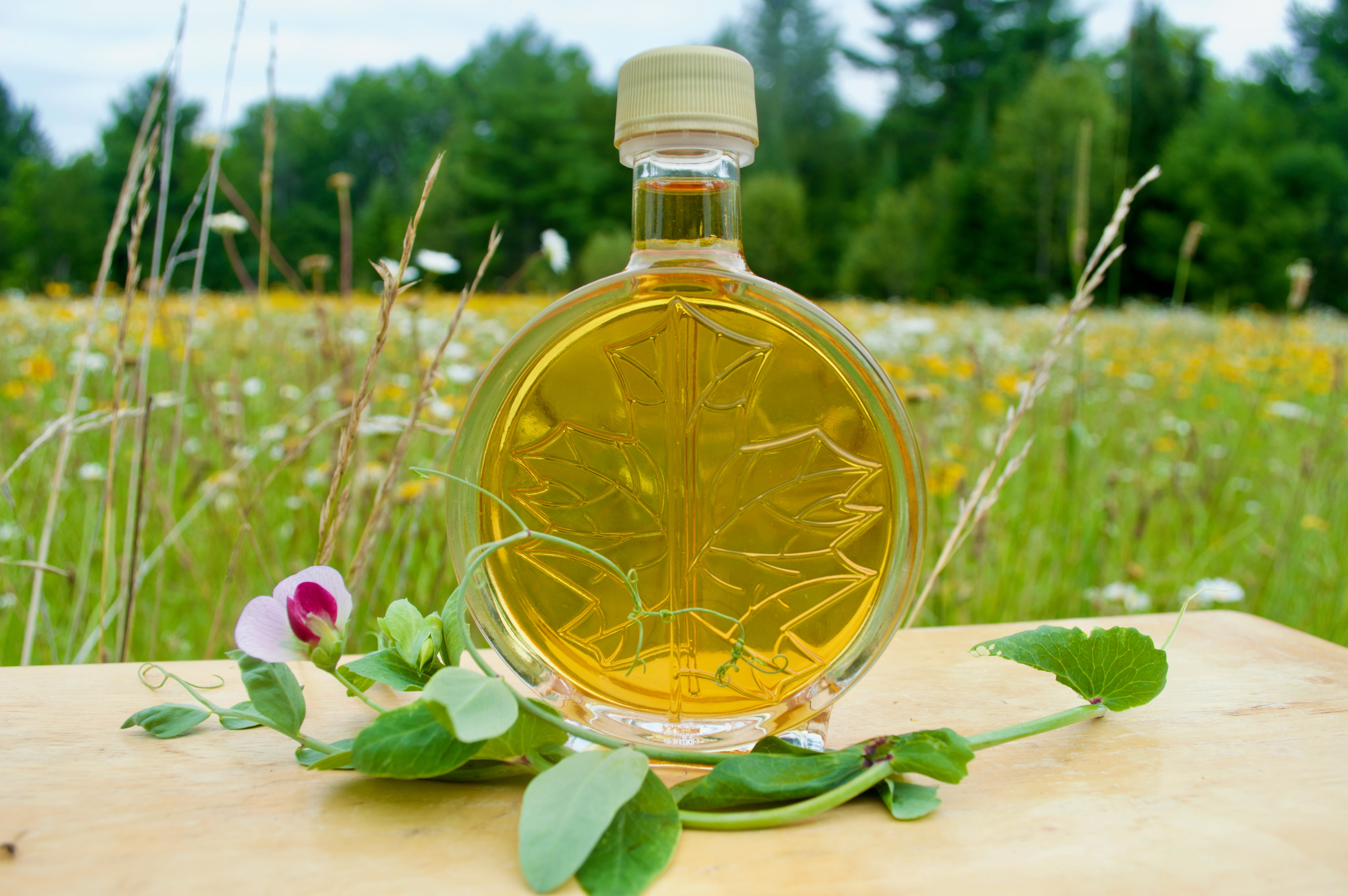 Pure Michigan Maple Syrup (Party Favor Glass Bottles)